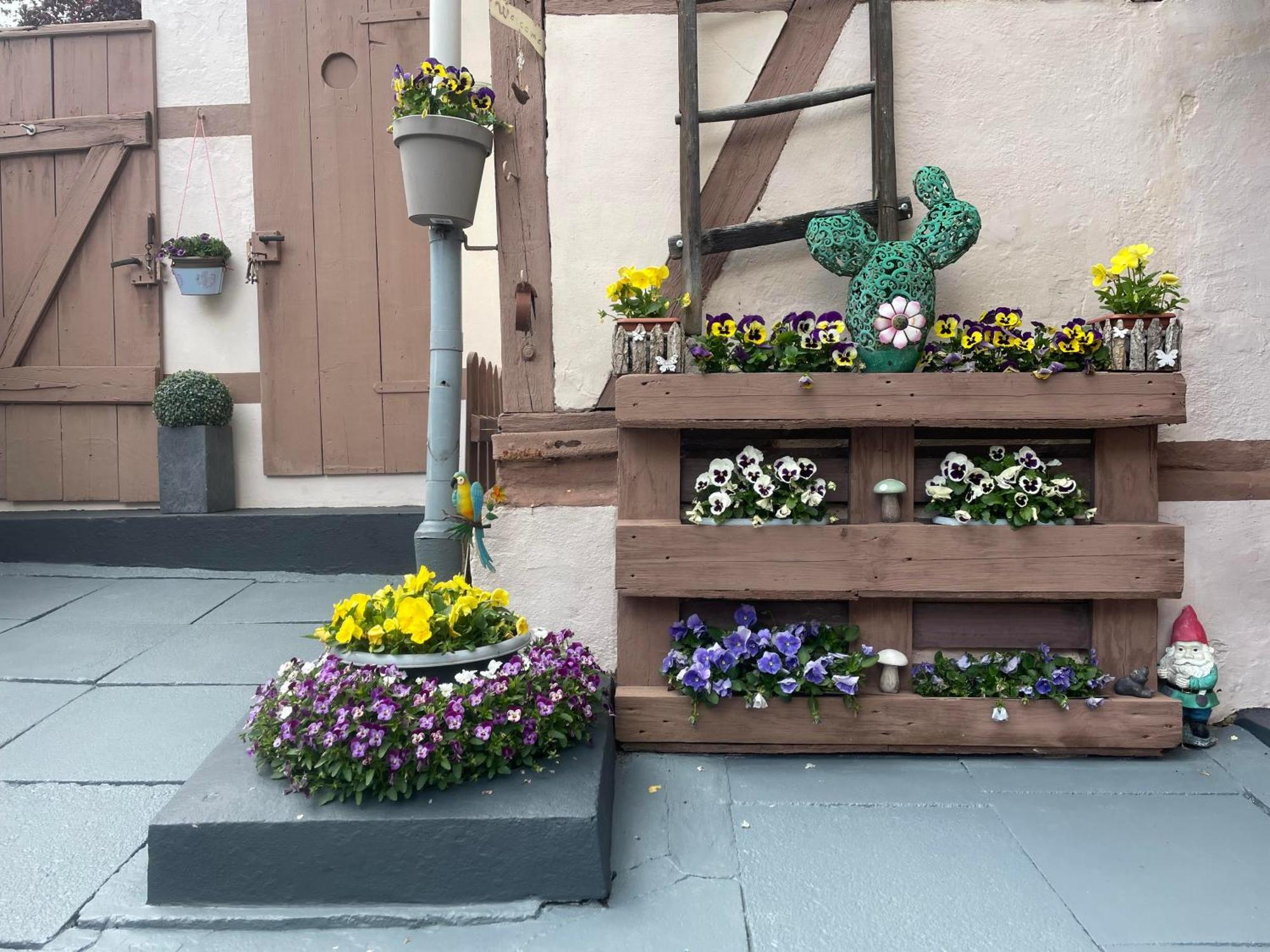 Ferienhaus Belkot Bad Sachsa Luaran gambar